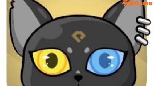 贪玩猫