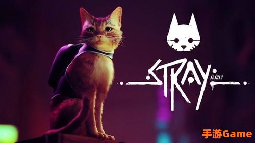 迷失stray
