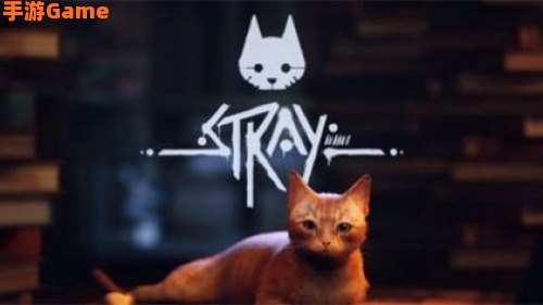 迷失stray