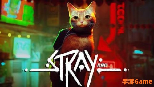 迷失stray